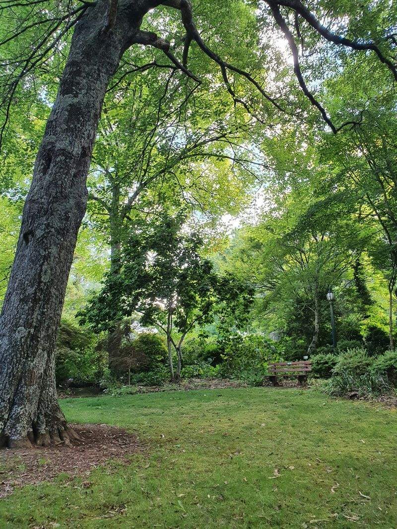翠景庭園設計 2